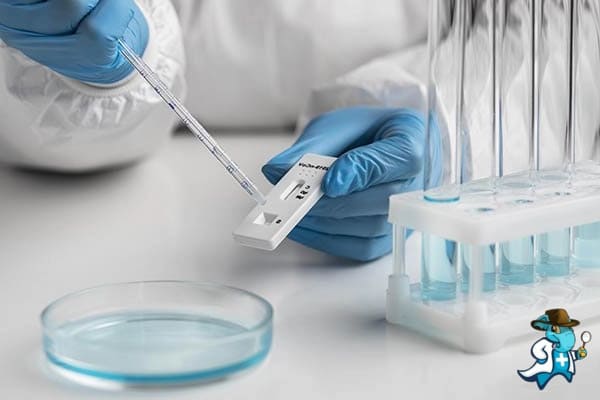 Cuánto Cuesta un Seguro de Salud que Cubra la Prueba o Test de Antígenos en España