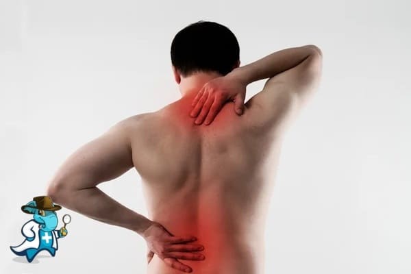 ¿Qué Periodo de Carencia Tiene un Seguro de Salud que Cubra Distensiones en la Espalda en España?