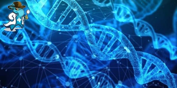 Qué Periodo de Carencia Tiene un Seguro de Salud que Cubra la Prueba o Test Genético en España