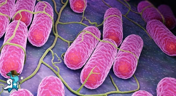 Cuánto Cuesta un Seguro de Salud que Cubra la Tinción de Gram en España
