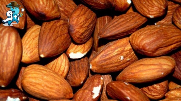 Cubre el Seguro de Salud la Alergia a las Almendras en España