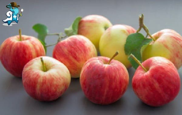 Cubre el Seguro de Salud la Alergia a las Ciruelas en España