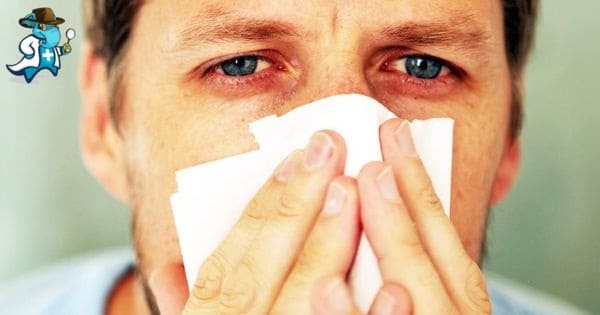 Cubre el Seguro de Salud la Alergia a los Albaricoques en España