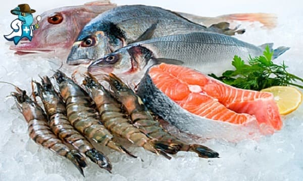 Cubre el Seguro de Salud la Alergia a los Mariscos en España