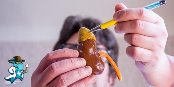 ¿Cubre el Seguro de Salud la Enfermedad de Addison en España?
