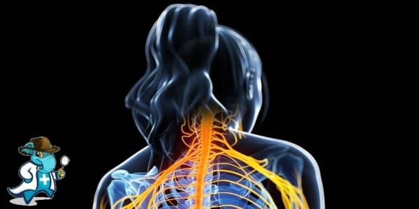 ¿Cubre el Seguro de Salud la Esclerosis Múltiple en España?