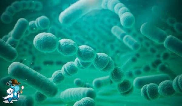 Cubre el Seguro de Salud la Tinción de Gram en España