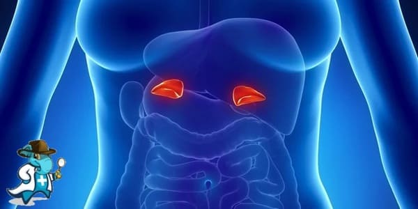 ¿Puedo Contratar un Seguro de Salud si Tengo la Enfermedad de Addison en España?