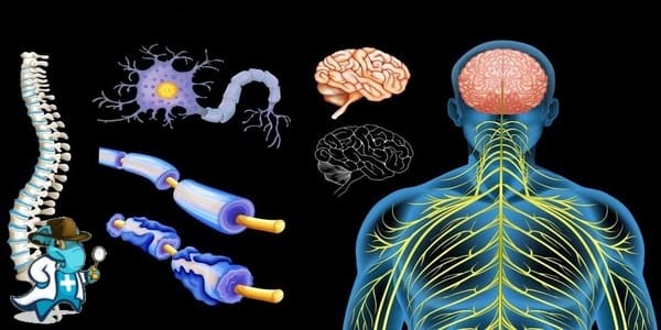 ¿Puedo Ocultar que Tengo Esclerosis Múltiple Para Contratar el Seguro de Salud en España?