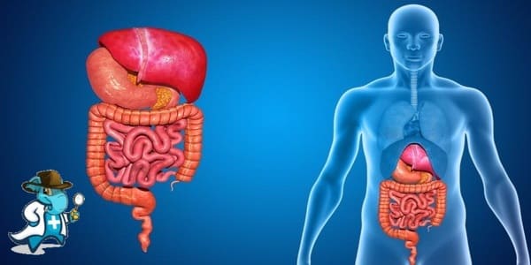 ¿Puedo Ocultar que Tengo la Colitis Ulcerosa Para Contratar el Seguro de Salud en España?
