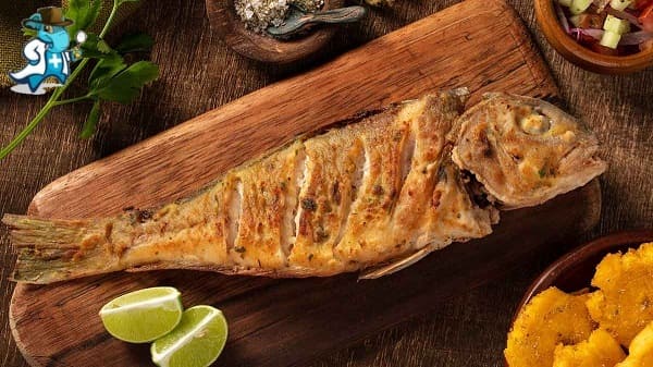Qué Exclusiones Tendría un Seguro de Salud Para una Persona con Alergia al Pescado en España
