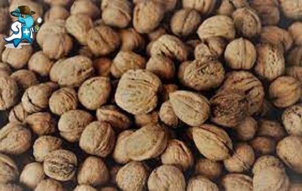 Qué Exclusiones Tendría un Seguro de Salud Para una Persona con una Alergia a las Nueces en España