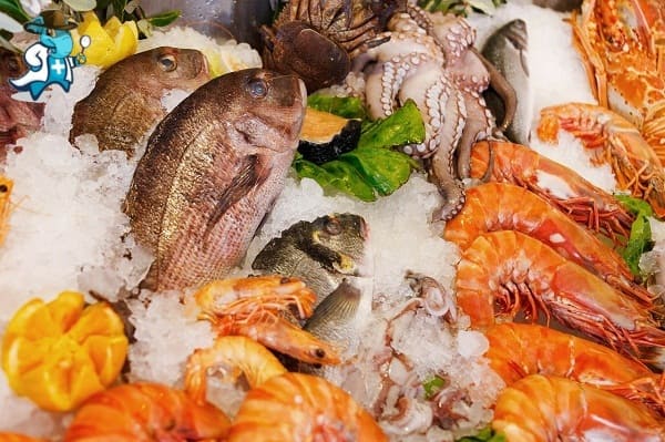Qué Exclusiones Tendría un Seguro de Salud Para una Persona con una Alergia a los Mariscos en España