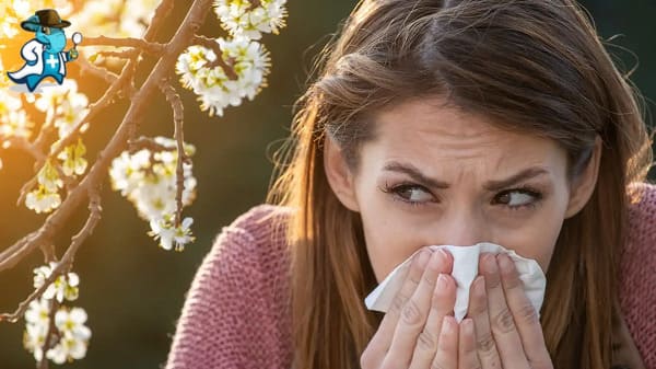 Qué Exclusiones Tendría un Seguro de Salud Para una Persona con una Alergia a los Piñones en España