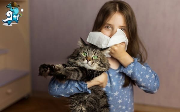 Aumenta el Precio del Seguro de Salud Para una Persona con una Alergia a las Mascotas en España