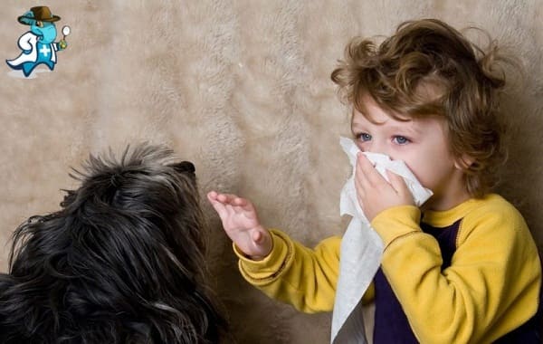 Cubre el Seguro de Salud la Alergia a los Perros en España