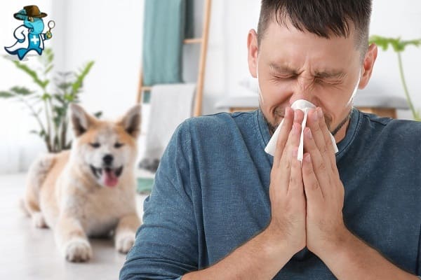 Qué Exclusiones Tendría un Seguro de Salud Para una Persona con una Alergia a los Perros en España